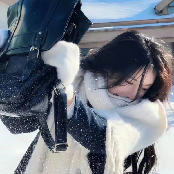 美国痴情大盗